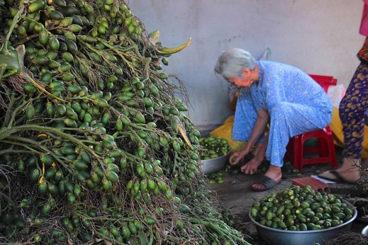 Thương lái ồ ạt mua cau non bán sang Trung Quốc, giá 20.000/kg - 2