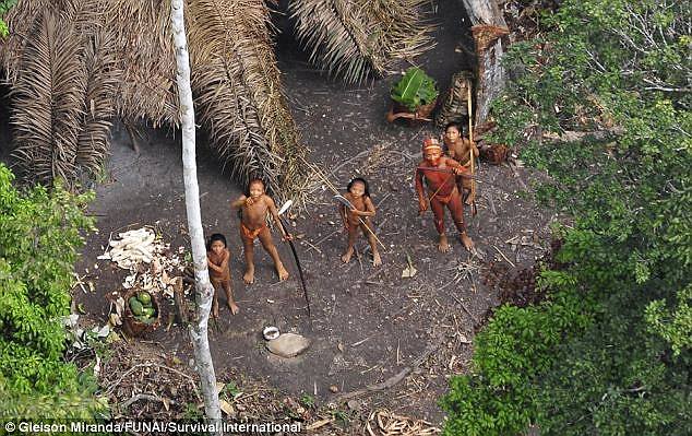 10 thổ dân nguyên thủy Amazon đi lạc bị giết hại dã man - 1