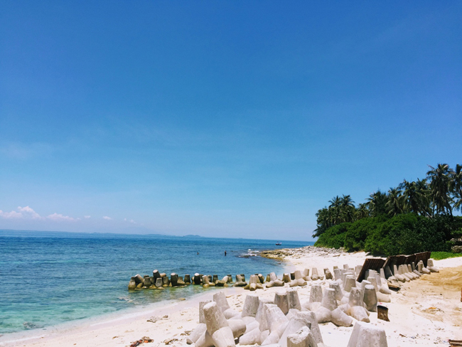Bãi cái rất trắng, rặng dừa xanh nghiêng mình hướng ra biển.

Tham khảo thêm Kinh nghiệm du lịch đảo Lý Sơn.
