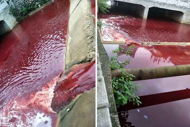 Dòng sông bất ngờ nhuộm đỏ máu tại thành phố Trung Quốc - 1