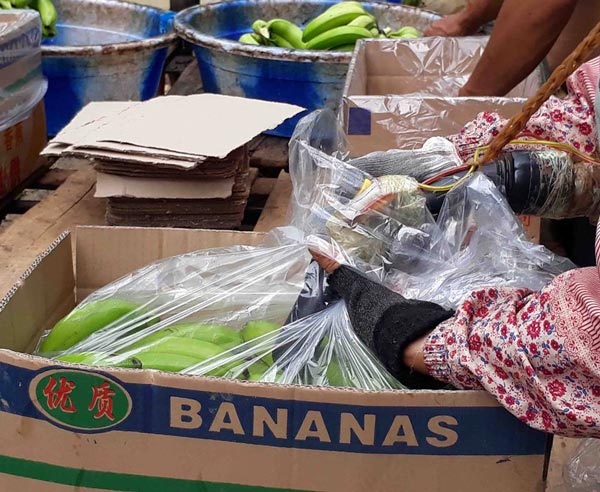 Làm giàu ở nông thôn: Sau thời làm thuê, khi về thành...tỷ phú chuối - 2