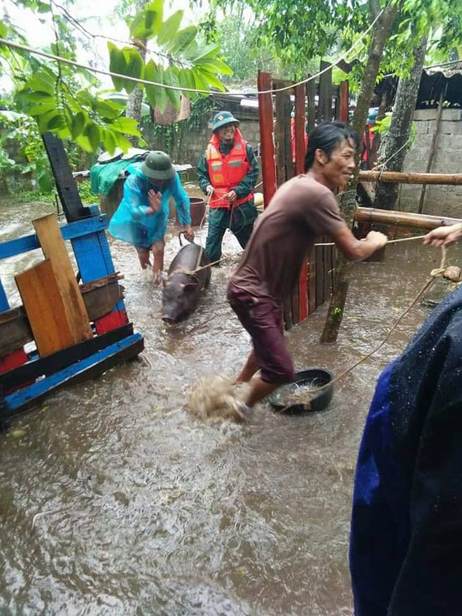 Nghệ An: Nước tràn đê, thủy điện xả lũ, di dời dân khẩn cấp - 4