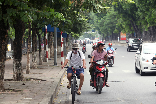 Ảnh: Chặt hạ, di chuyển 130 “cụ cây” trên đường Kim Mã - 12