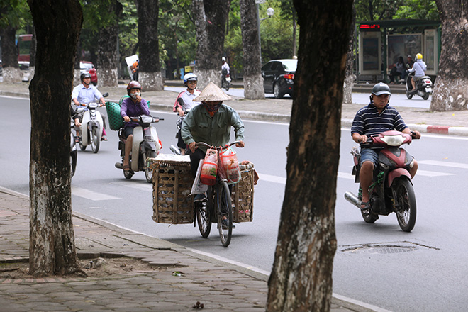 Ảnh: Chặt hạ, di chuyển 130 “cụ cây” trên đường Kim Mã - 11