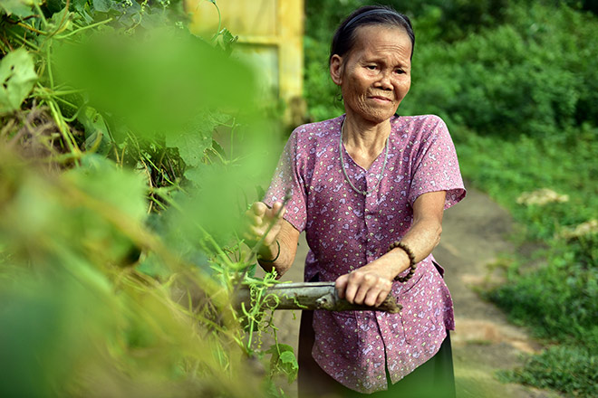 Ngôi làng hoang phế của những phận người “sống để chờ chết” - 4