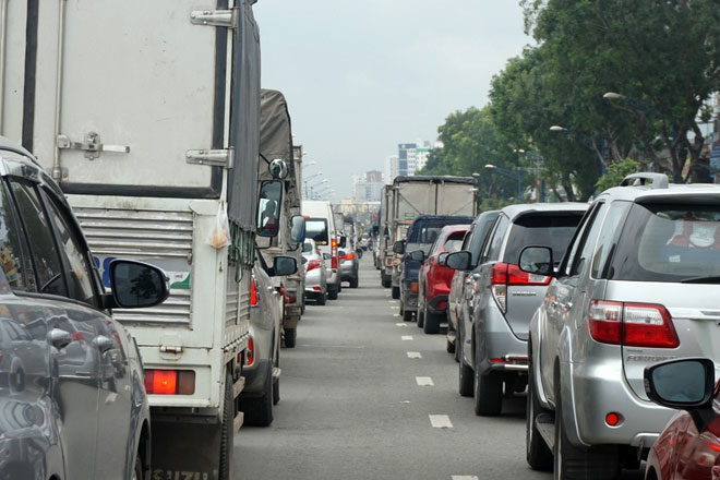 Xóa sổ “chợ” sinh vật cảnh lớn nhất SG, giao thông tê liệt từ sáng đến trưa - 8