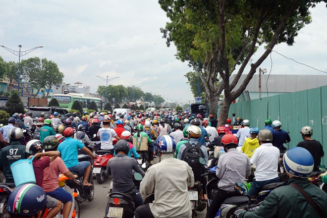 Xóa sổ “chợ” sinh vật cảnh lớn nhất SG, giao thông tê liệt từ sáng đến trưa - 6