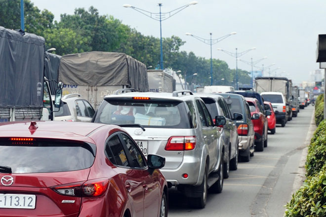 Xóa sổ “chợ” sinh vật cảnh lớn nhất SG, giao thông tê liệt từ sáng đến trưa - 7