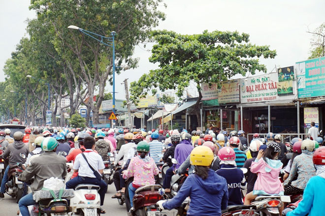 Xóa sổ “chợ” sinh vật cảnh lớn nhất SG, giao thông tê liệt từ sáng đến trưa - 5