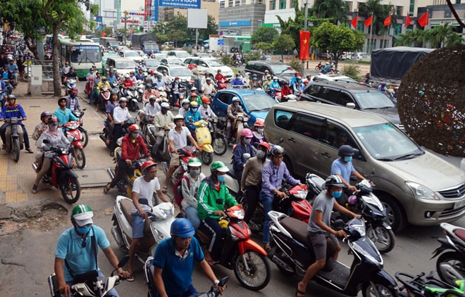 Xóa sổ “chợ” sinh vật cảnh lớn nhất SG, giao thông tê liệt từ sáng đến trưa - 12