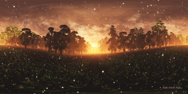 Lạc vào xứ sở thần tiên Coco Wonderland Resort - 3