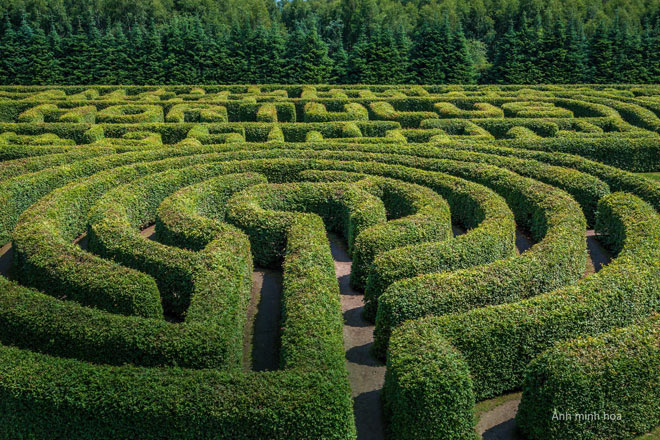 Lạc vào xứ sở thần tiên Coco Wonderland Resort - 6