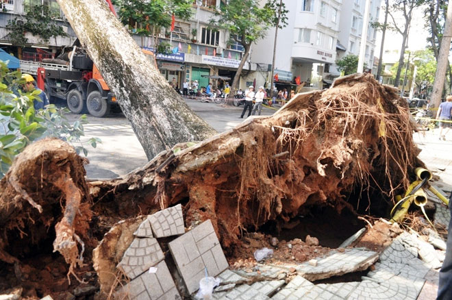 Đường Sài Gòn thành sông, người dân &#34;bơi&#34; trong ngày đầu tuần - 14