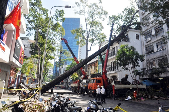 Đường Sài Gòn thành sông, người dân &#34;bơi&#34; trong ngày đầu tuần - 11