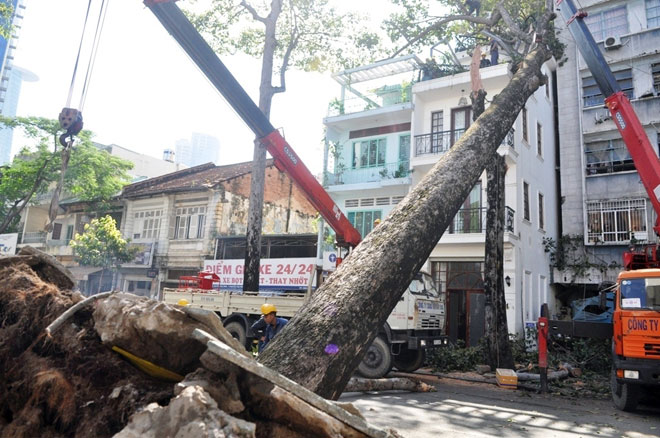 Đường Sài Gòn thành sông, người dân &#34;bơi&#34; trong ngày đầu tuần - 9