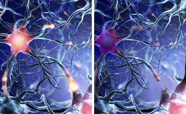 13 điều những người thông minh không bao giờ làm hằng ngày - 10