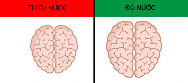 13 điều những người thông minh không bao giờ làm hằng ngày - 9