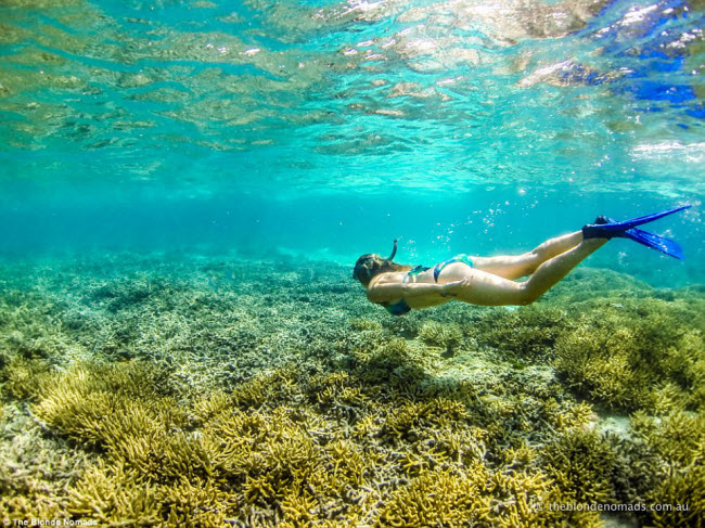 Vợ chồng trẻ bán hết tài sản để đưa 2 con đi du lịch - 5