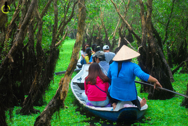 Mùa này về miền Tây ghé rừng tràm Trà Sư là nhất - 6