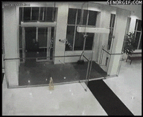 Bó tay với các thanh niên "ngáo ngơ" đâm đầu cửa kính - 7