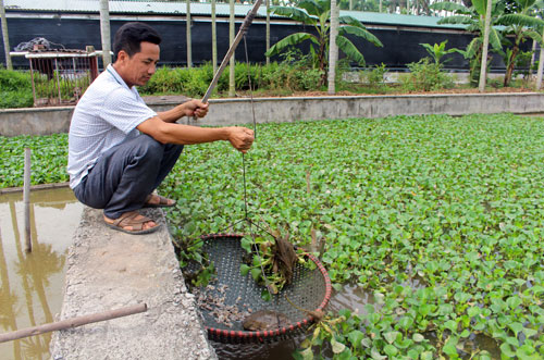 “Nhạc&#34; nào cũng nhảy, anh Yên quyết không chịu yên mà thu tiền tỷ - 2