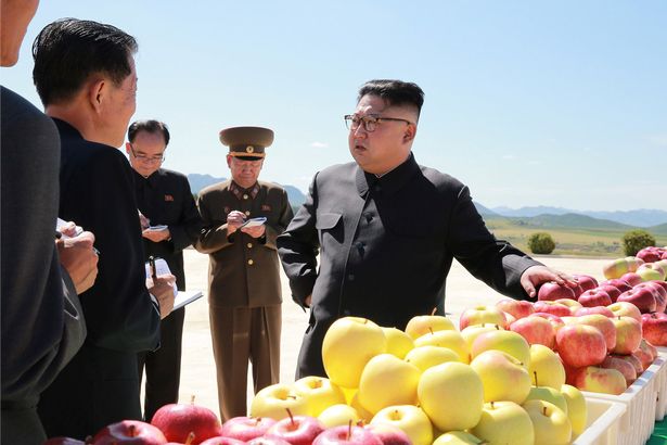 Hoạt động đầu tiên của Kim Jong-un sau khi Trump dọa &#34;hủy diệt&#34;? - 5