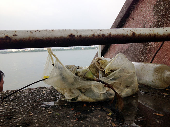 Bao cao su lại nổi trắng mặt hồ ở Hà Nội - 4