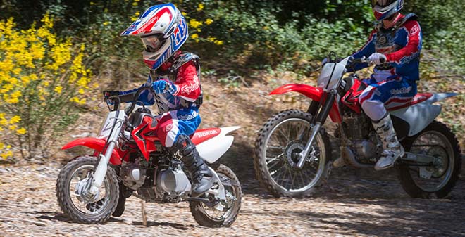 Honda CRF50F