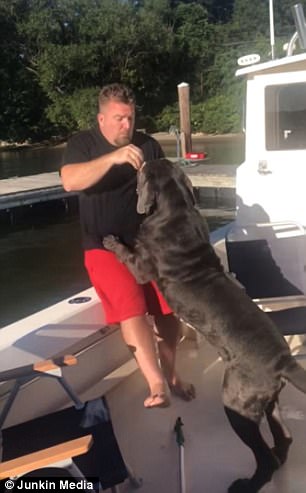 Chó khổng lồ “ngứa mắt” đẩy chủ xuống hồ bơi - 1