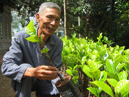 Làm giàu ở nông thôn: Chỉ trồng 100 cây mít không hạt, thu 1 tỷ/năm - 4