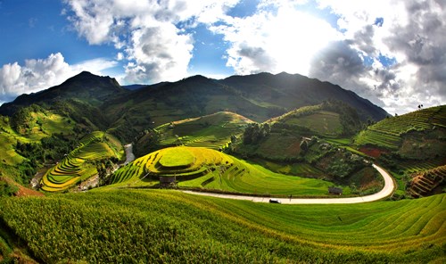 Mù Cang mùa lúa chín – tuyệt mỹ sóng vàng trên non - 2