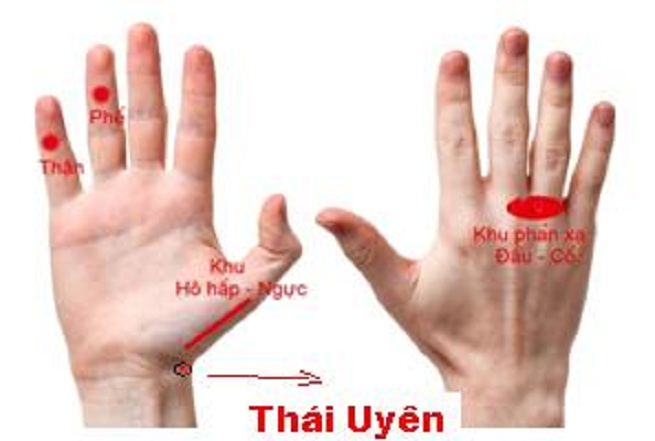 Những huyệt đạo ấn vào là cắt cơn ho - 2