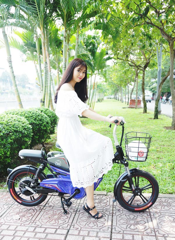 3 mẫu xe đạp điện cực chất cho teen đến trường - 4