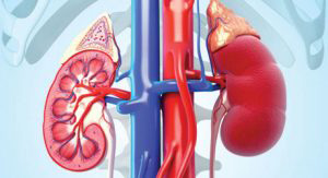 Đi tiểu 2 lần/1 đêm - Con đường ngắn nhất dẫn đến suy thận - 2