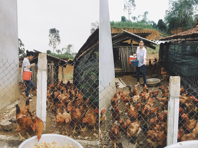 “Hot girl chăn gà” bỗng nổi như cồn vì quá xinh đẹp - 2