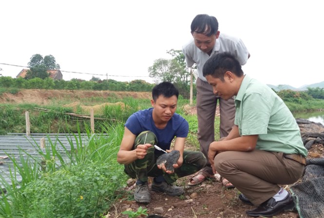 Ném tiền tỷ xuống ao lấy ngọc - 1