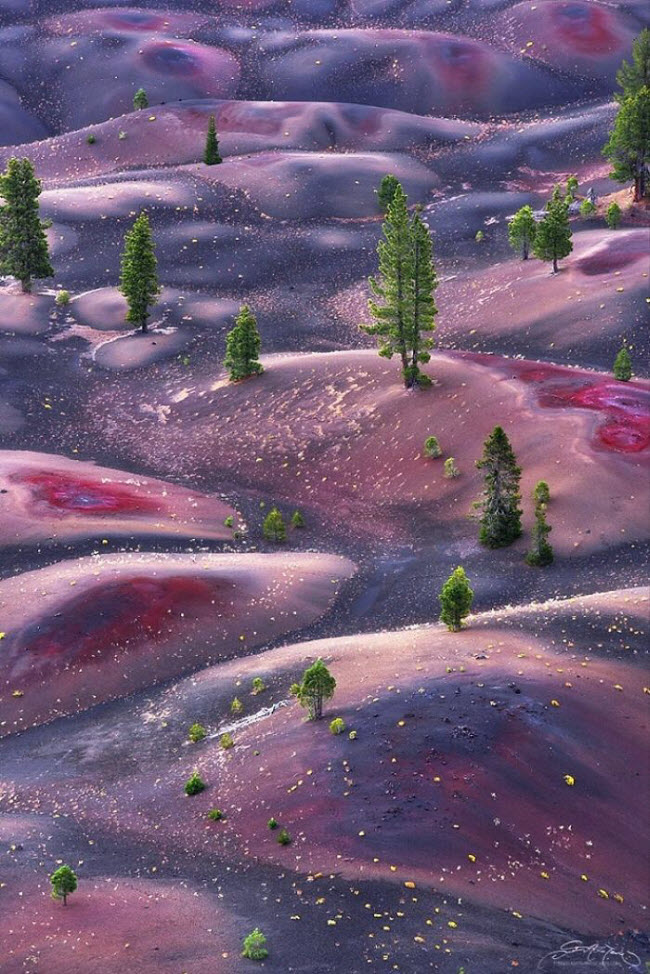 Côn cát sắc màu (Painted Dunes) trong vườn quốc gia núi lửa Lassen có vẻ đẹp ngoài sức tưởng tượng, tựa như xứ sở thần tiên trong bộ phim giả tưởng Avatar.