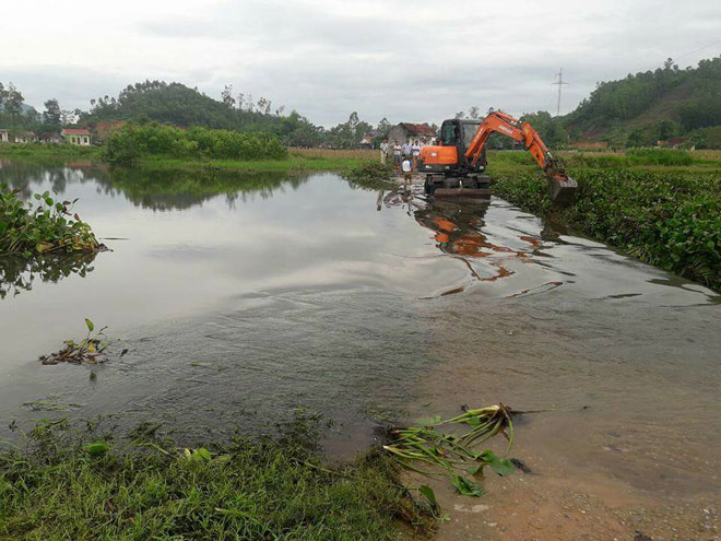 Phát hiện thi thể người đàn ông trong đám bèo sau 14 ngày mất tích - 1