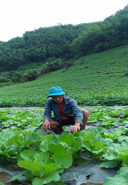 Làm giàu ở nông thôn: "Hot boy" làm vườn rau 200 triệu xanh đến "phát hờn" - 3