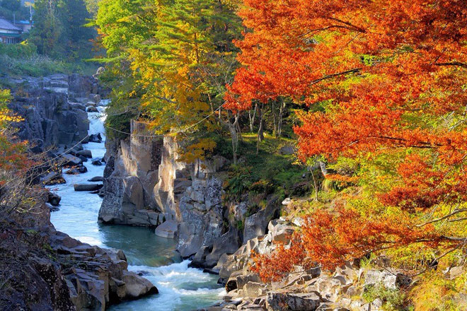 "Trốn đời" đi chèo thuyền, ngắm cá ở ngọn núi đẹp tựa tiên cảnh - 7