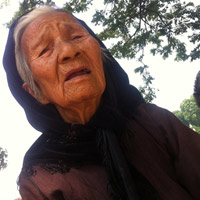 Tin tức trong ngày - “Bà lão đáng thương” đánh lừa cả xã hội