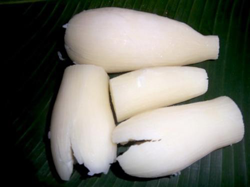 Nhớ sắn ba tháng quê nhà - 2