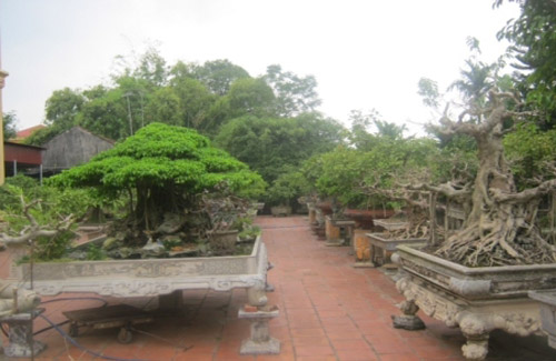 Gặp lão nông trăm tỷ đất Hà thành - 2