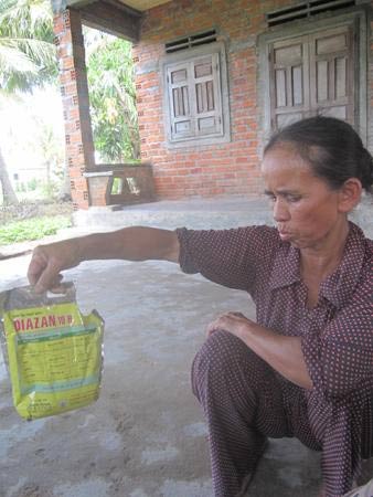 Rau “bội thực” thuốc bảo vệ thực vật - 2