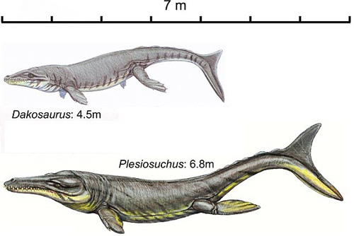 Phát hiện cá sấu niên đại 150 triệu năm - 1