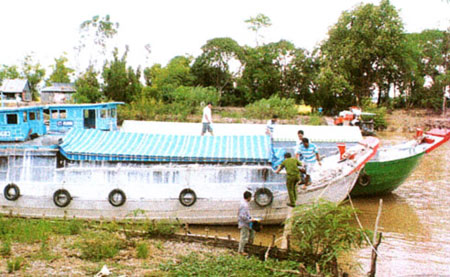 Những nàng dâu... “trời đánh” - 2