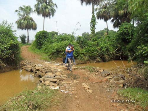 Cha 9 năm cõng con bại liệt đi tìm chữ - 3