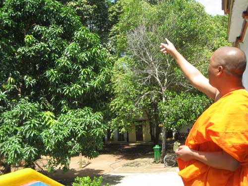 Quán nhậu thịt dơi "đe dọa" chùa Dơi - 3