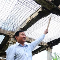 Tin Cần Thơ - Khốn khổ cảnh cả trường đi... học nhờ