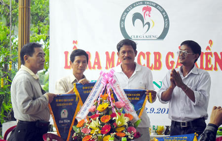 Thời gà kiểng lên ngôi (3) - 2